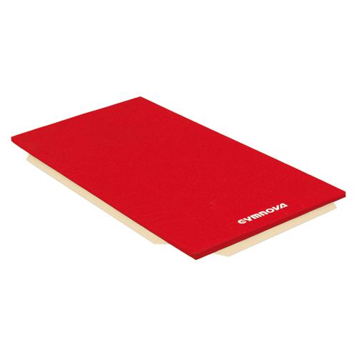 TAPIS DE GYMNASTIQUE GYMNOVA ASSOCIATIFS HOUSSÉS 200 X 100 X 5 CM