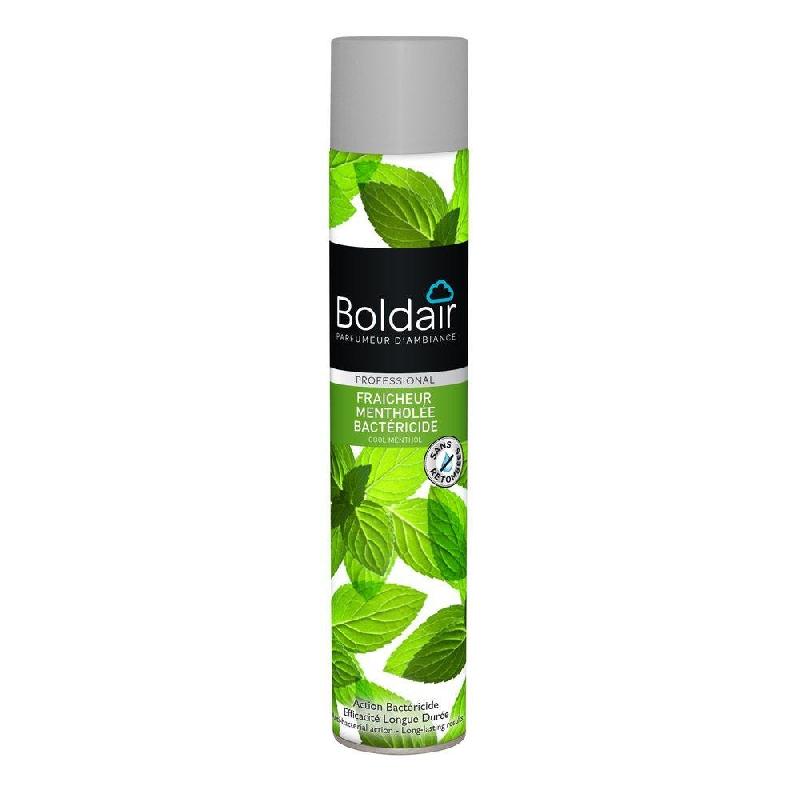 Boldair - Bactéricide fraîcheur mentholée - 500 ml - élimine les mauvaises odeurs, assainit et purifie l'air_0