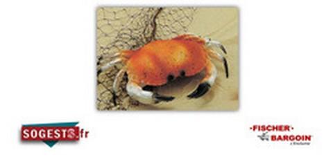 CRABE DE DÉCORATION