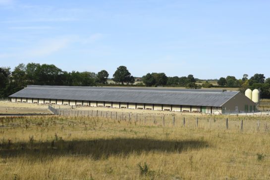 Bâtiment avicole Bio - code 0 - Serupa SAS - 3 000 à 12 000 poules - élevage avec pondoirs ou volière 1 niveau_0