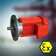 Moteur ATEX - Euronorm - puissance de 0,06kW à 250kW - moteurs Exd, EXe et EXn_0