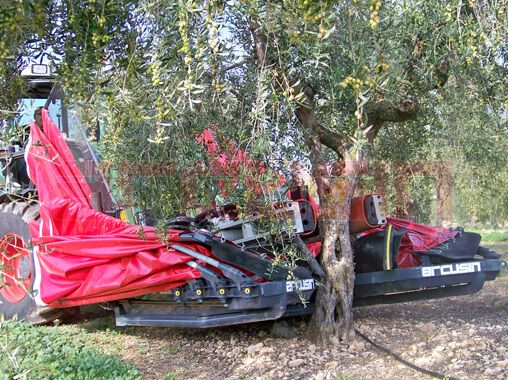 Autopick GTi - Vibreur d'arbre fruitier - Arcusin - Secoueur et ramasseur intégré pour plus de vitesse_0