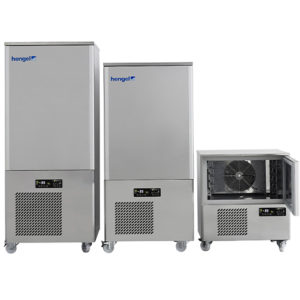 GS66-A - Cellules de refroidissement et surgélation rapides à grilles - L820 x P700 x H950 mm - 89 kg_0