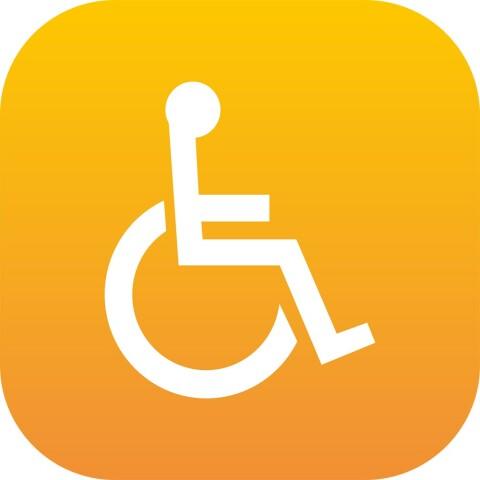 LOT DE 2 - PLAQUE EN PLEXIGLAS PLEXI - PMR - ORANGE