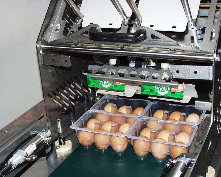 Machine clipsage de carton - Dispositif autonome pour boîtes d'œufs Graham, Maxi, Cristal et Ovotherm_0