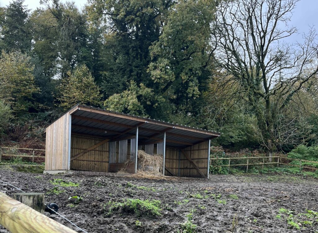 Abri 3 x 10 ECO avec râtelier central - Bois Douglas français - ABRATECO_0