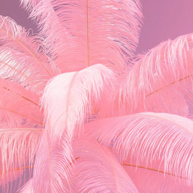 KARE FEATHER PALM LAMPE SUR PIED PLUMES, ROSE
