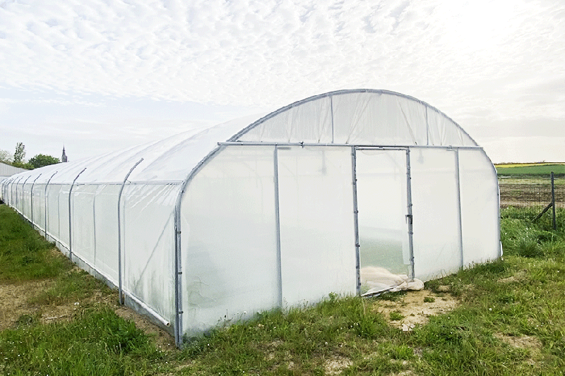 Serre tunnel pépinière professionnelle - robuste, modulable, acier galvanisé_0