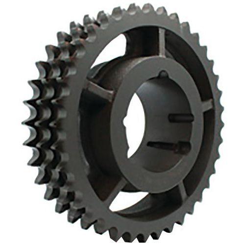 ROUE EN FONTE À MOYEU AMOVIBLE POUR CHAÎNE 24B DOUBLE