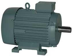 K21R 112 M8 1.5_0