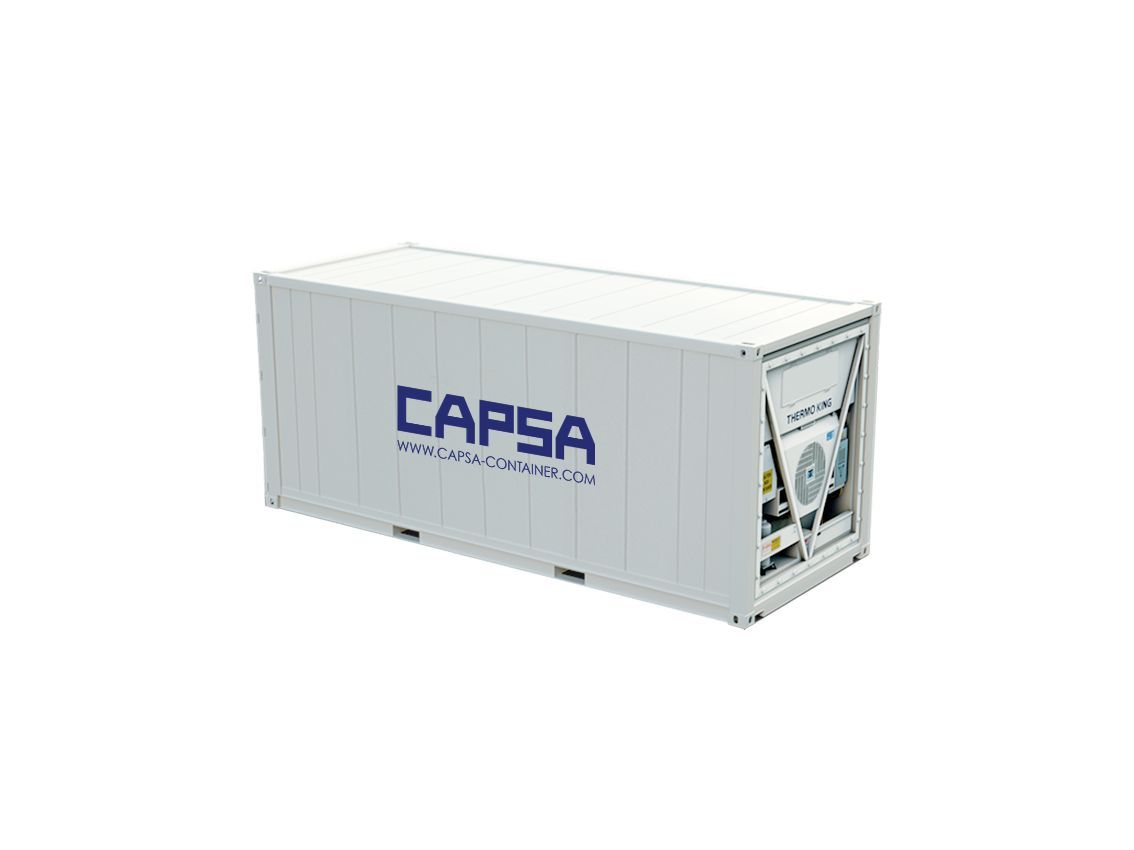 Container frigorifique REEFER 20 pieds occasion stockage de vos produits alimentaires ou non alimentaires_0