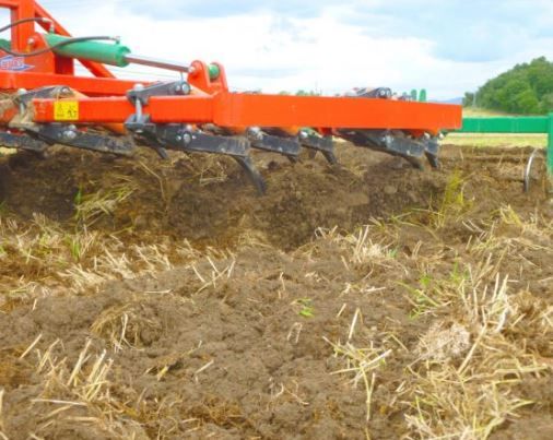 Chisel CH-100 - Cultivateur agricole SEGUÉS - Largeur de travail de 1.800 à 6.500 mm - Dents renforcées en fonte avec double ressort_0