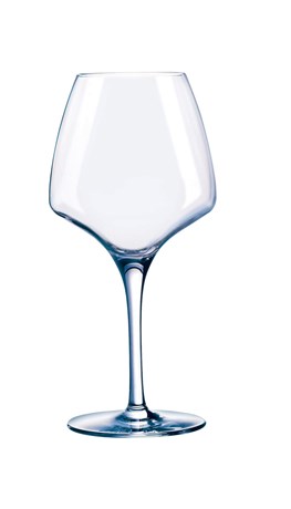 VERRE À PIED TASTING PRO 32 CL (VENDU PAR 6)