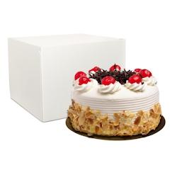 LEBHAR - Boîte pâtissière haute blanche 24 x 24 x 18 cm - Lot de 25 - Réf 834005_0