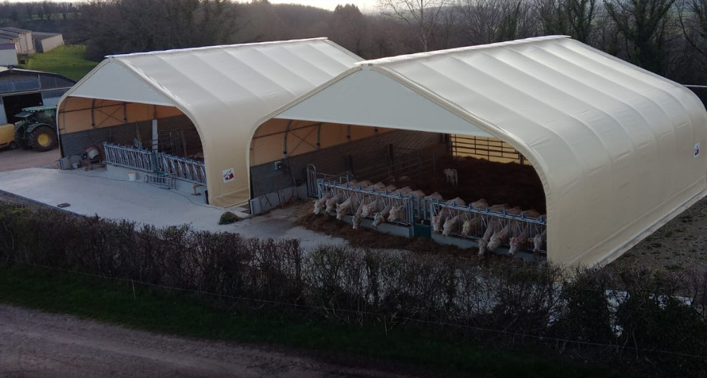 Tunnel d'élevage pour bétail ouvert isolé structure en acier couverture en PVC_0