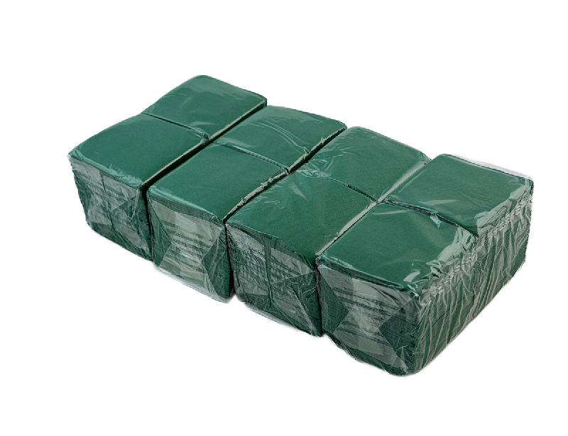 Hostelnovo del Valles Hostelnovo - Serviette Micropoint 10 x 10 Verte (600) - vert papier VERDE600_0