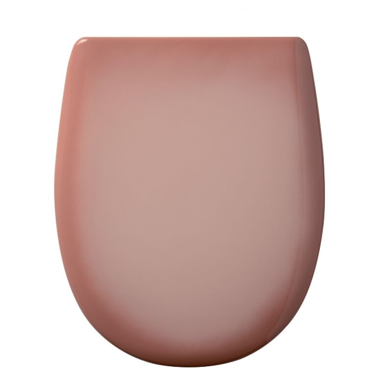 Home Bain Abattant Wc Mia A Motif Chat Multicouleurs Comparer Les Prix De Home Bain Abattant Wc Mia A Motif Chat Multicouleurs Sur Hellopro Fr