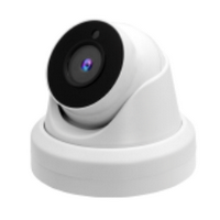 ColorEye dôme de surveillance 2MP - objectif 4mm - couleur de nuit - IP66 - WDR - H.265 - PoE/12Vdc_0