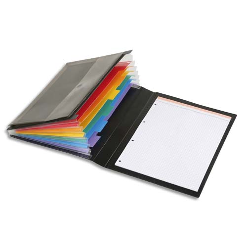 TRIEUR EXTENSIBLE A4 PLASTIQUE MANAGER VIQUEL RAINBOW CLASS - 6 COMPARTIMENTS - LOT DE 8