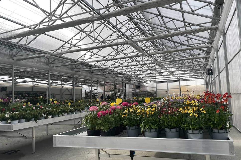 Serre à travées multiples conçue pour les couvertures rigides - Multisunart TR_0