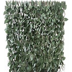 Garden Friend Saule extensible H. 100 x L. 200 cm avec feuilles de laurier - vert matière synthétique E1098022_0