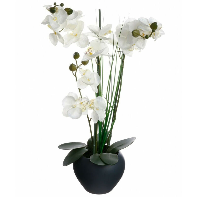Plante Artificielle Orchidée Gris H 53 Cm Ac Déco Comparer Les Prix De Plante Artificielle Orchidée Gris H 53 Cm Ac Déco Sur Hellopro Fr