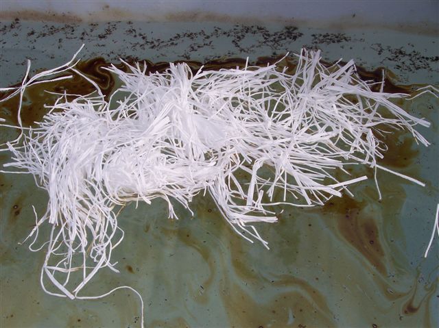 Absorbant spaghetti_0