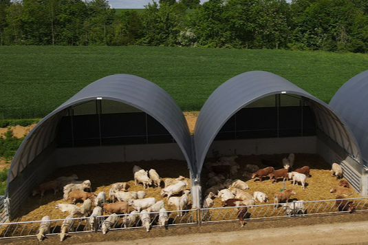 Bâtiment pour bovin à viande économique, simple et évolutif - Tunnel d'élevage TOUTABRI_0