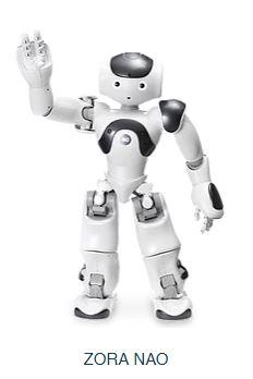 Robot humanoïde - zora nao_0
