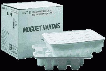 Service - emballage carton sur mesure (composites) - découpe, pliage et collage_0