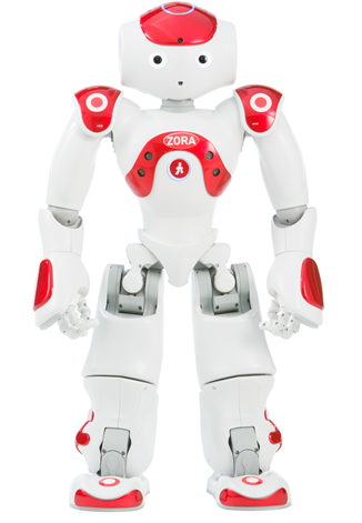 Robot d'assistance à la personne, idéal pour les ergothérapeutes, psychomotriciens, infirmiers, aides-soignante, psychologues et  animateurs en EHPAD - ZORA_0