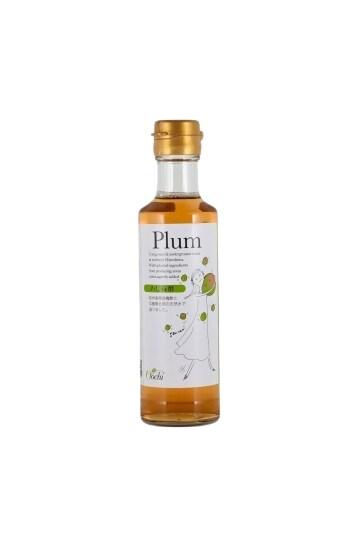 Vinaigre de prune japonais ume 270ml japon - 4973418143231_0