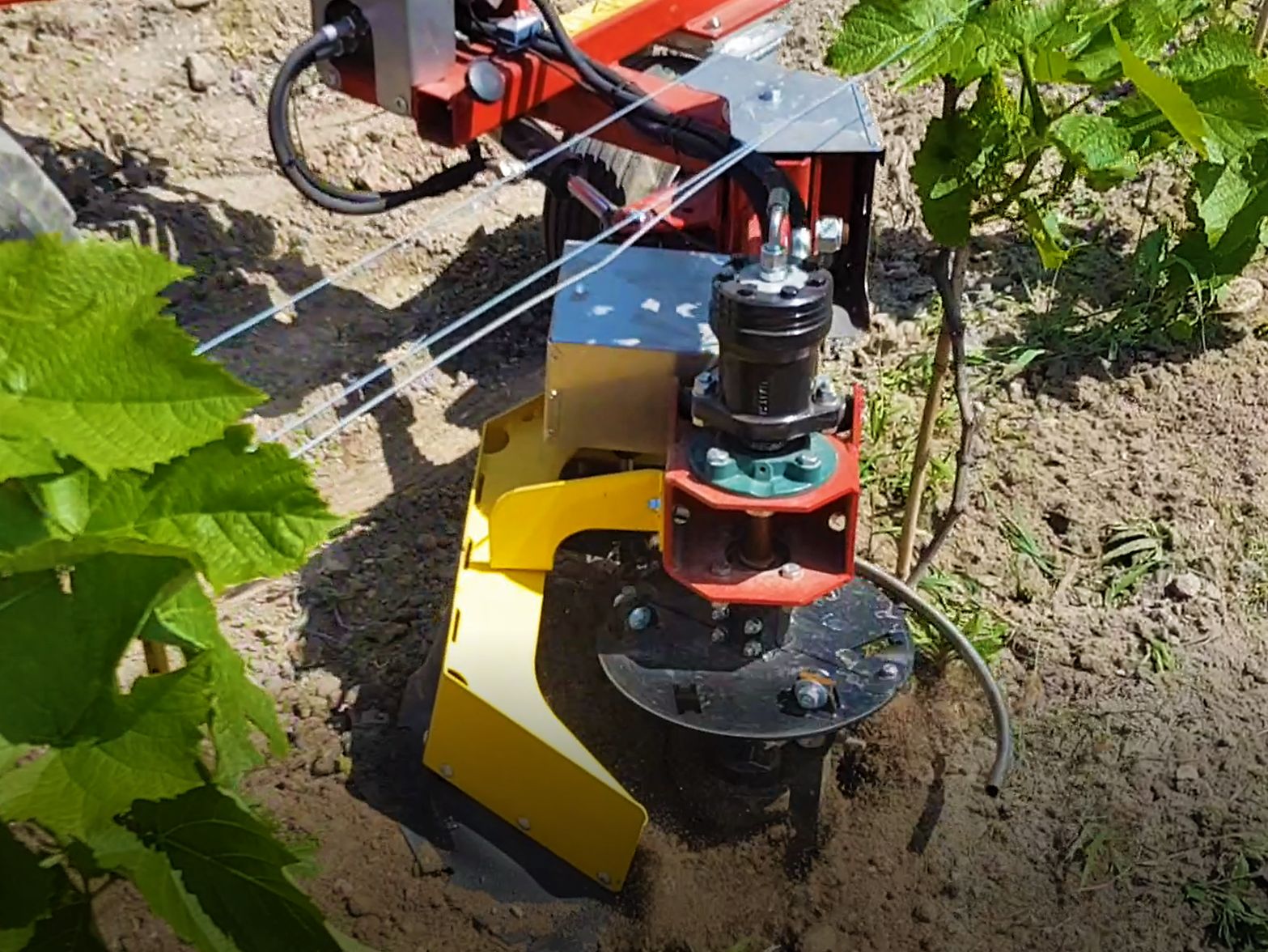 Bineuse pour vigne