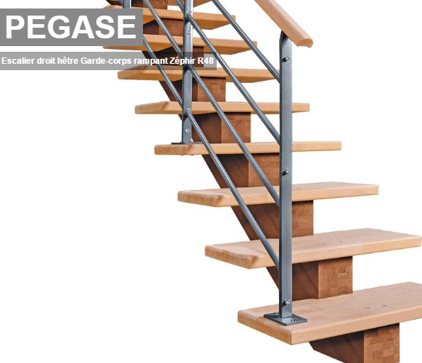 Escaliers droits - pegase _0