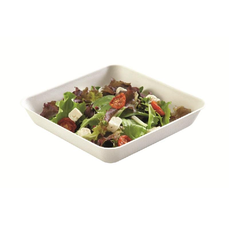 Assiette carrée bagasse blanche 19,2x3,5cm - par 500_0