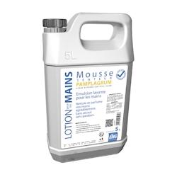 Nettoyant mains mousse Pamplagrum 5L KING - P00387_0