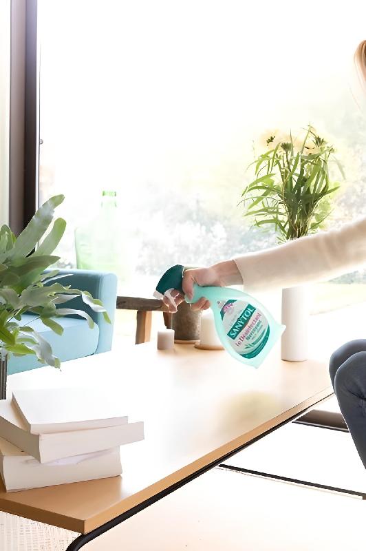 Désinfectant multi-usages eucalyptus 500ml - Sanytol - 761417 - Élimine 99,9% des bactéries, champignons et virus_0