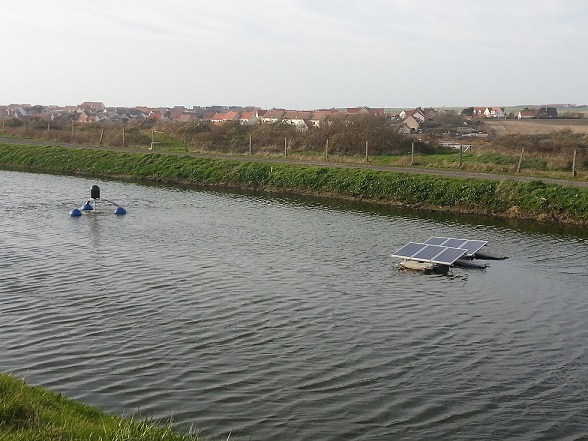 Oxygenation lagunages pour les eaux usees_0