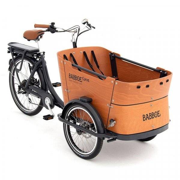 Vélo triporteur familial Babboe - électrique Curve-e et Go-e - jusqu'à 4 enfants - autonomie 35-100 km_0