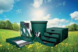 MODULE DE CLASSEMENT 'THE GREEN CHAMELEON', VERT