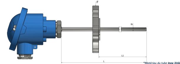 Thermocouple avec tête de raccordement - Montage bride sanitaire DIN 2527 (DN10 – PN6) - TH30_0