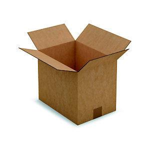 RAJA Caisse américaine carton simple cannelure - L.Int. 31 x l.22 x h.25 cm - Kraft brun - Lot de 25_0