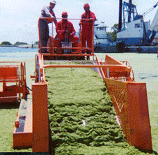 Bateau faucardeur ramasseur - Capacité 12,9 m³ / 3 400 kg - Aquamarine H7-450_0