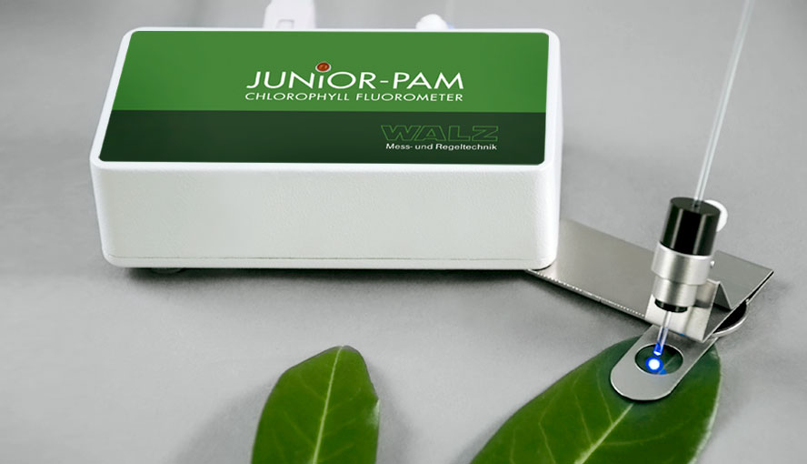 Junior pam - fluorimètre très économique dédié à l'enseignement des mesures de fluorescence de la chlorophylle._0