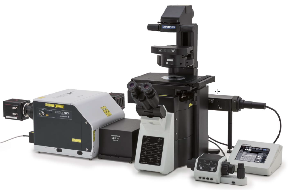 Spin sr10 - microscope confocal_0