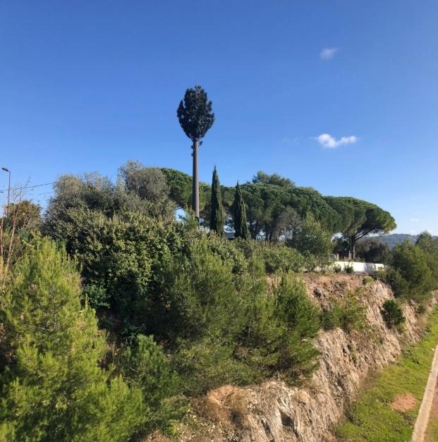 Pylônes arbres réalistes - Pin - 12m à 30m - Tronc en résine brune_0