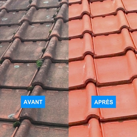 Fongicide, algicide topmouss - concentré à action rémanente, sans acide ni solvant_0