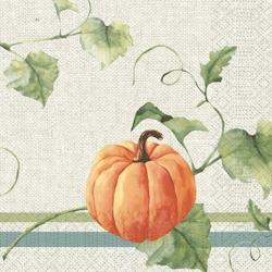 DUNI Serviette 33x33cm 3 plis Heritage Harvest - matière organique 197053_0