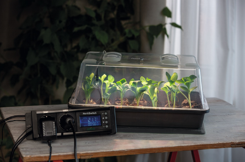 Mini serre rigide LED avec lampe horticole, nappe chauffante et thermostat - Dimensions 38x24x19 cm_0
