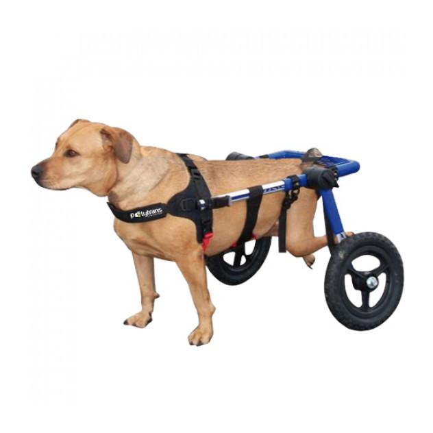 WALKIN WHEELS-POLYTRANS - CHARIOT CANIS-CART LIBERTY T5